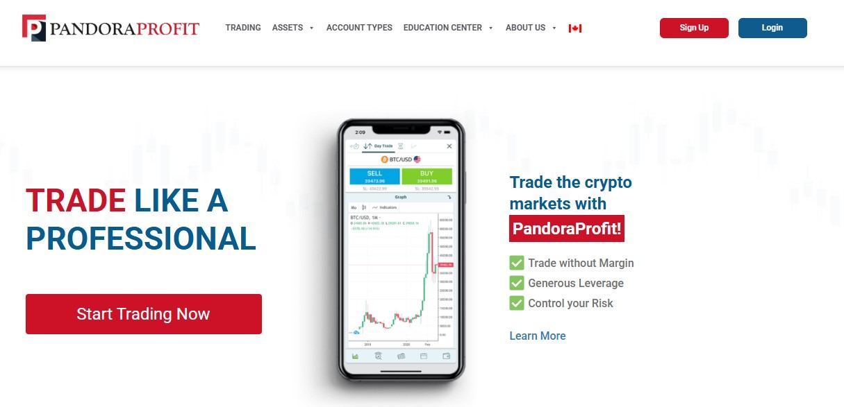 PandoraProfit Website